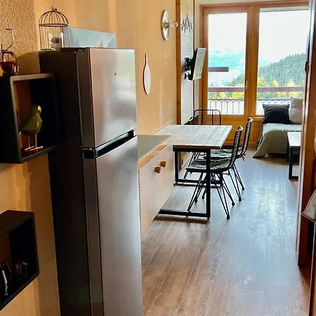 Renove Avec Balcon Et Wifi Au Pied Des Pistes - Fr-1-346-555 Daire